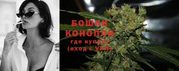 спиды Сосновка